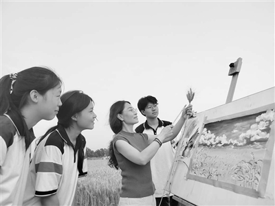 田间研学绘“丰”景